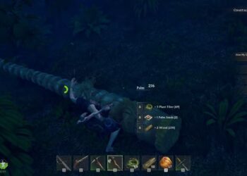 How to Obtain Palm Seeds in Windrose by Completing and Solving