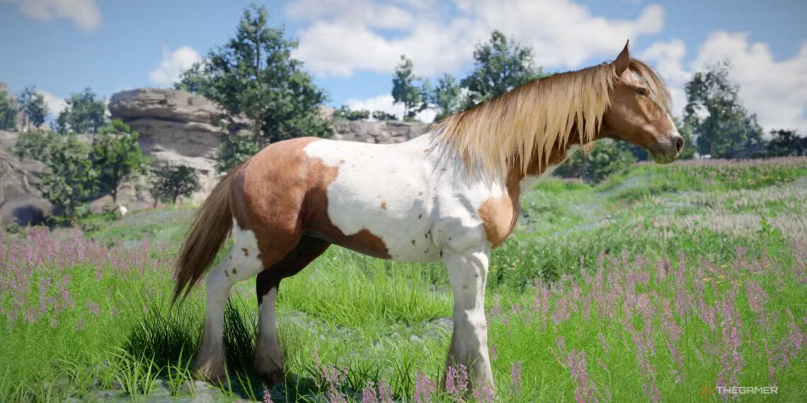 How to Tame Horses and Solve Challenges in Crimson Desert