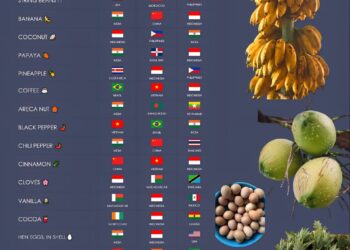 Largest Producers In The World By Products

1.  Rice
 India - Highest Producer