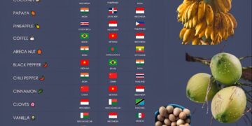 Largest Producers In The World By Products

1.  Rice
 India - Highest Producer