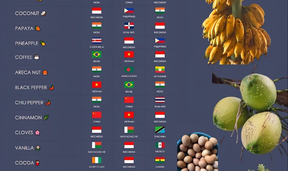 Largest Producers In The World By Products

1.  Rice
 India - Highest Producer