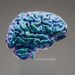 New Approach Offers Hope for Frontotemporal Dementia Treatment