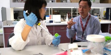 Scientists identify new disease linked to premature aging and brain issues