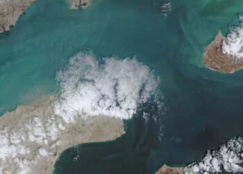 Tankers Cross Strait of Hormuz Before Shots Fired, Data Reveals