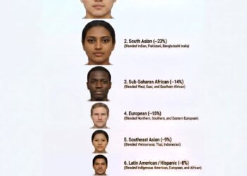 Visualising 8 Billion People  Ranked by % of Population

1. East Asian (~25%) –