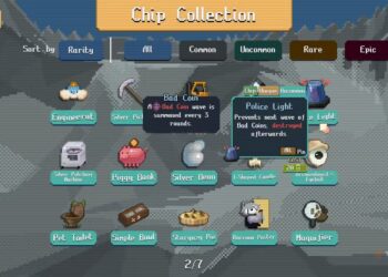 Top Chips in Raccoin: Completing and Solving Them All