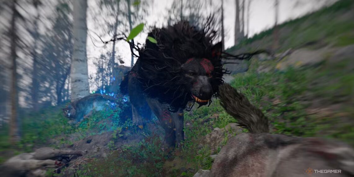 Where to Find the Shadow Claw Abyss Gear in Crimson Desert and Completing the Puzzle