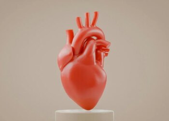 Why Women's Heart Disease Requires Unique Attention