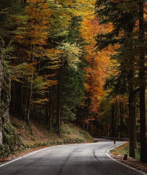 curved road 10072702 960 720.jpg