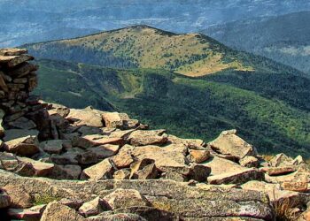 Estimated US Import Tariffs Collected by USA  (Since April 2025)

1.  China - $6