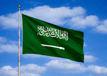 Saudi Arabia GDP Rank Since 2001:

2001 ➜  GDP Rank: 26th
2002 ➜  GDP Rank: 26t
