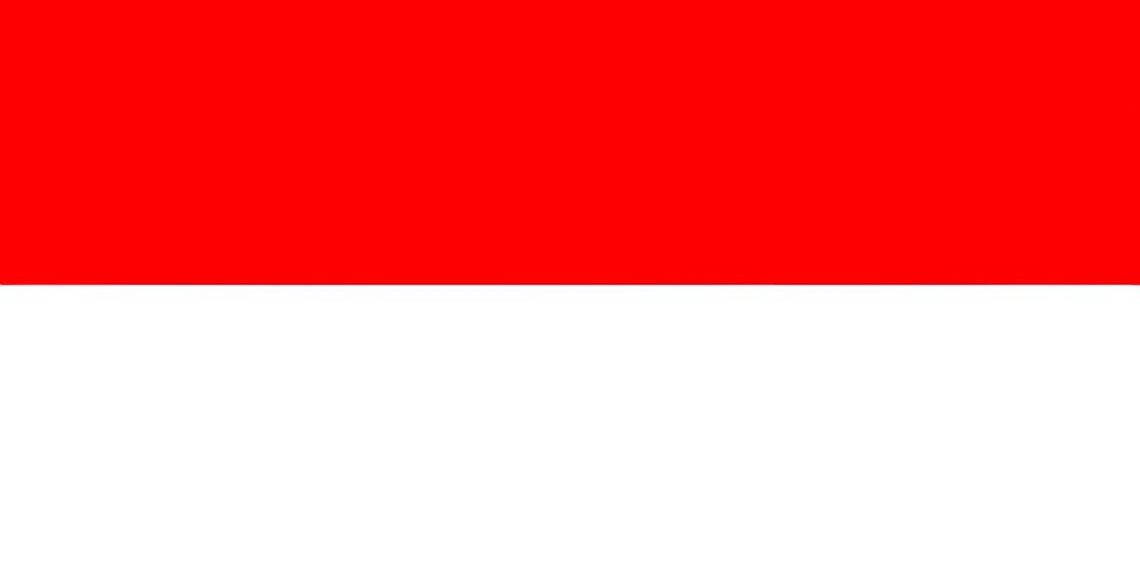 Indonesia GDP Rank Since 2000:

2000 ➜  GDP Rank: 28th
2001 ➜  GDP Rank: 29th
2