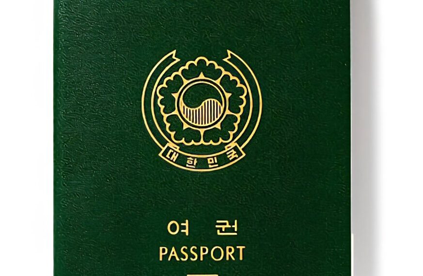 South Korea Passport Power Ranking Since 2006:

2006 ➜  Passport Rank: 29th
200