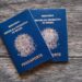 Brazil Passport Power Ranking Since 2006:

2006 ➜  Passport Rank: 30th
2007 ➜