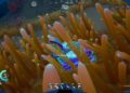 All Food, Water, and Health Recipes in Subnautica 2: Completing and Solving