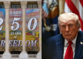 Celebrities Drop Out of America 250 Events Amid Backlash