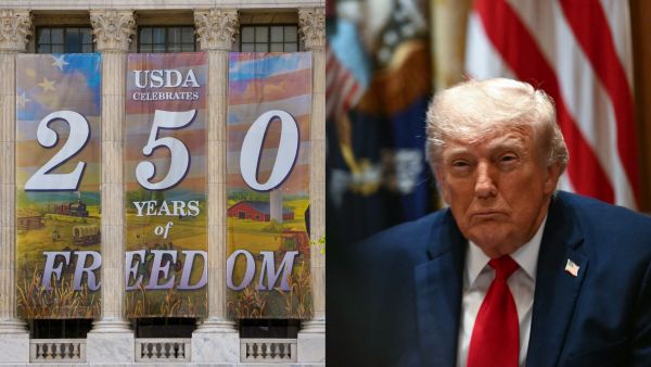 Celebrities Drop Out of America 250 Events Amid Backlash