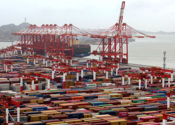 China Opens First Zero-Tariff African Import Amid Policy Expansion