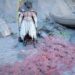 How to Maximize Stamina and Solve Challenges in Crimson Desert