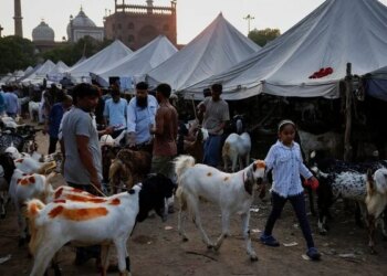 India bans cow slaughter, roadblocks for Eid ul-Adha prayer