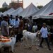 India bans cow slaughter, roadblocks for Eid ul-Adha prayer