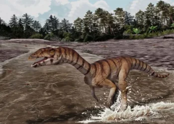Odd Two-Legged “Crocodile Kin” Reveals Life's Peculiar Past Before Dinosaurs