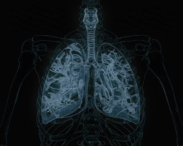 Smoking Can Permanently Alter Lung Flexibility and Breathing