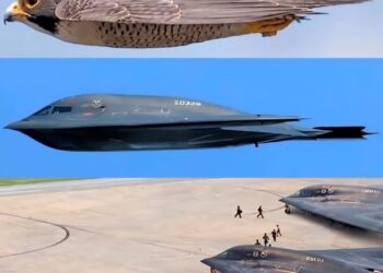 100 Animals,Birds and Marine Life's Top Speed 

1.  Peregrine Falcon, 389 km/h
2