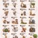 The 20 Most Dangerous Jobs in the World

(Deaths Per 100,000 Workers)

1.  Tree