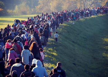 Top 25 Countries With the Most Immigrants
1. United States - 52.38 Million
2.