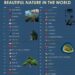41 Countries With The Most Beautiful Nature In The World

1.  Switzerland
2.  Ne