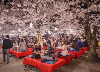 50 Places You NEED to See Before You Die:

1.  Santorini, Greece
2.  Kyoto in ch