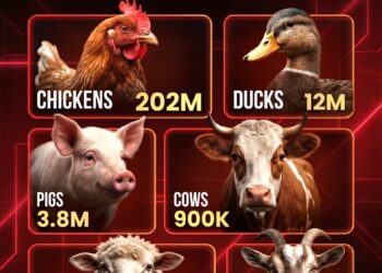 Animals Slaughtered For Meat Per Day 

 Chickens ~202 Million
 Ducks ~12 Million