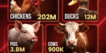 Animals Slaughtered For Meat Per Day 

 Chickens ~202 Million
 Ducks ~12 Million