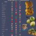 Largest Producers In The World By Products
1. Rice
India - Highest Producer