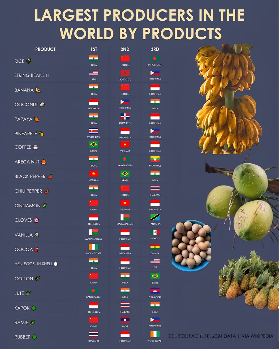 Largest Producers in the World by Products