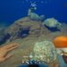 Top Locations for Salting and Solving in Subnautica 2