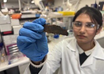 Transforming Tree Waste into Purifying Air: Eucalyptus Bark’s Pollution-fighting Potential