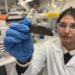 Transforming Tree Waste into Purifying Air: Eucalyptus Bark’s Pollution-fighting Potential