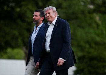 Trump Declines to Attend Son Donald Trump Jr's Wedding