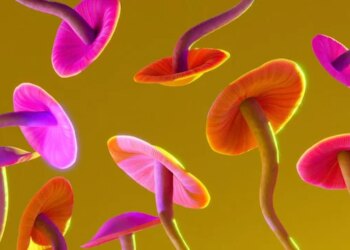 Unveiling the Risks and Hope of Psychedelic Mushrooms for Mental Health