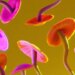 Unveiling the Risks and Hope of Psychedelic Mushrooms for Mental Health