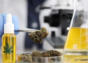 Using Cannabis to Escape Pain Could Trigger Paranoia