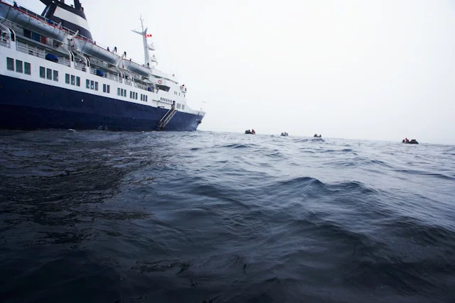 WHO flags cruise ship for high-risk monitoring after hantavirus outbreak