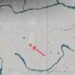 Where to Find the Kuku Insect in the Crimson Desert Gatherer’s Pack Solving