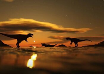 Why T. rex Had Small Arms: The Surprising Truth