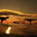 Why T. rex Had Small Arms: The Surprising Truth