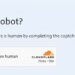 Why Websites Demand Proof of Humanity in the Age of Bots